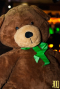 Teddy Bear Party